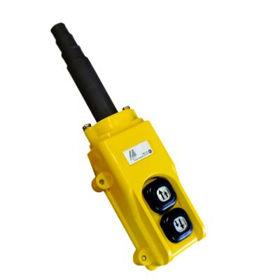 Crane-Controls Pendants