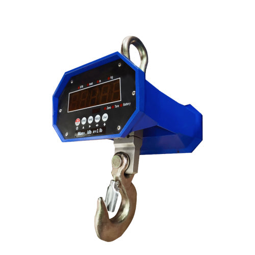 Crane Scales